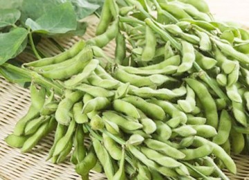 Đậu tương và các giá trị dinh dưỡng Đậu tương và các giá trị dinh dưỡng
