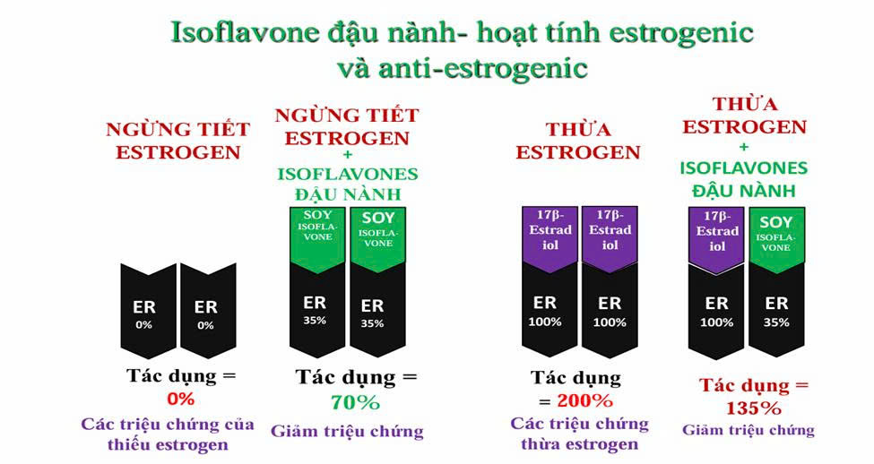 Isoflavone giúp điều hòa, chứ không làm tăng estrogen. 1