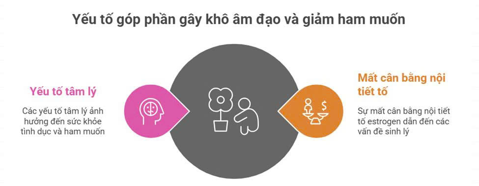 Các câu hỏi thường gặp về H-Regulator 6