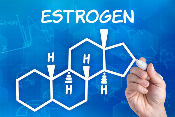 Bước vào tuổi mãn kinh, lượng estrogen trong cơ thể người phụ nữ lại giảm mạnh, dẫn tới trí nhớ của họ giảm sút (Ảnh minh họa)