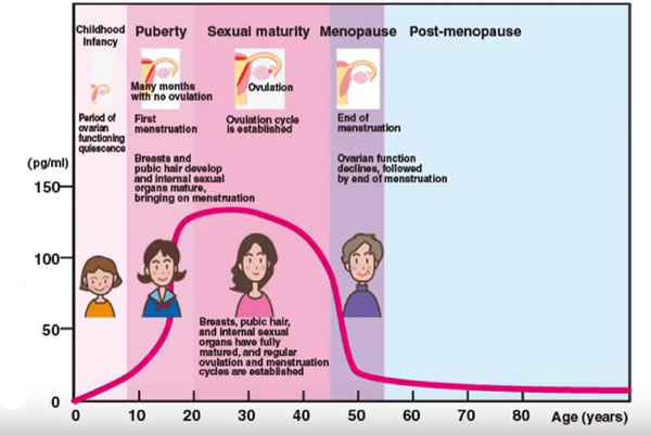 Thời kỳ mãn kinh và giảm estrogen 1