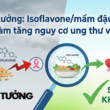 Lầm tưởng: Isoflavone/mầm đậu nành làm tăng nguy cơ ung thư vú !