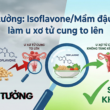 Lầm tưởng: Isoflavone/Mầm đậu nành làm u xơ tử cung to lên