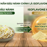 Lầm tưởng: Mầm đậu nành chính là isoflavone đậu nành