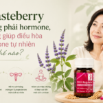 Chasteberry không phải hormone, nhưng giúp điều hòa hormone tự nhiên như thế nào?