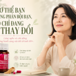 Tuổi tiền mãn kinh – Những vấn đề phụ nữ phải đối mặt khi nội tiết tố bắt đầu rối loạn và suy giảm Tuổi tiền mãn kinh – Những vấn đề phụ nữ phải đối mặt khi nội tiết tố bắt đầu rối loạn và suy giảm