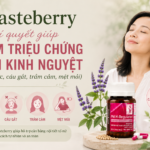 Chasteberry – bí quyết giúp giảm triệu chứng tiền kinh nguyệt (đau ngực, cáu gắt, trầm cảm, mệt mỏi).