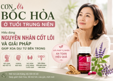 CƠN BỐC HỎA Ở TUỔI TRUNG NIÊN: NGUYÊN NHÂN CỐT LÕI VÀ GIẢI PHÁP GIÚP XOA DỊU TỪ BÊN TRONG